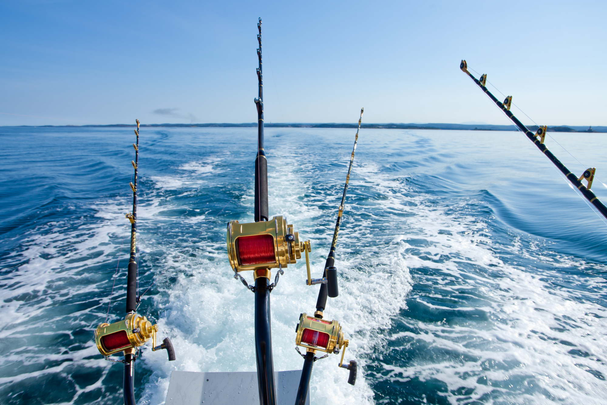 BIG BAIT CREW MAURITIUS, Fishing rod case Large