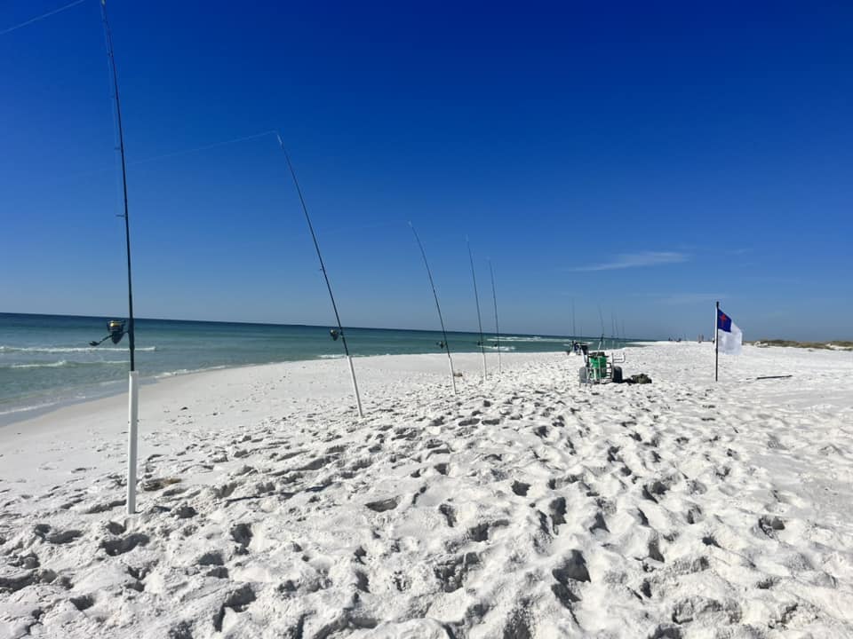 Fishing Poles Line the Ocean Surf Along the North Florida