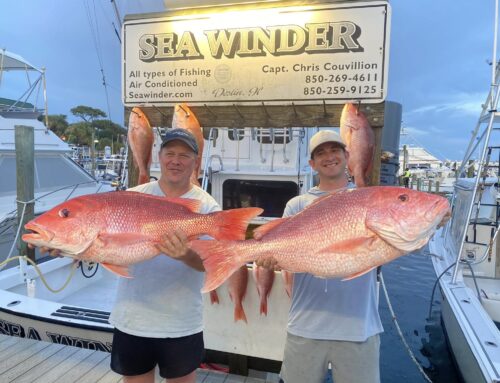 Red Snapper Fishing in Destin, Florida